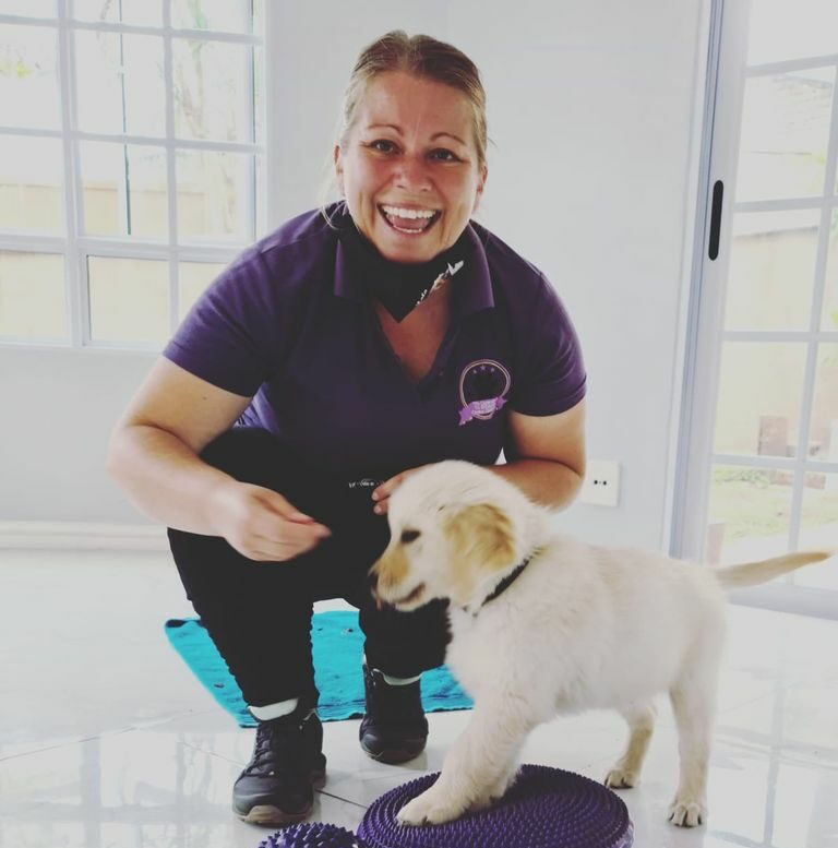 Andrea Ording training a Golden Retriever puppy on a balance disc