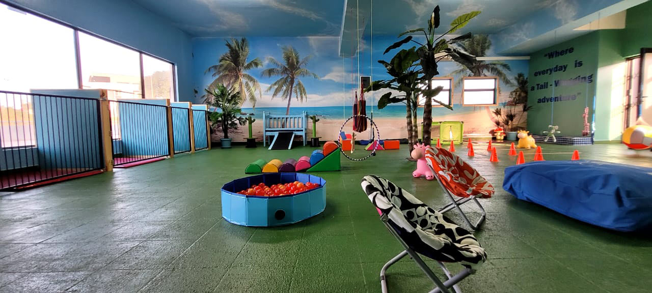 Dogtopia play room with the Collar and Comb grooming boutique poster on the wall