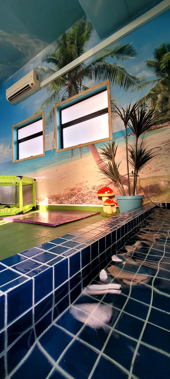 Beach-mural room with a play pool and sofa