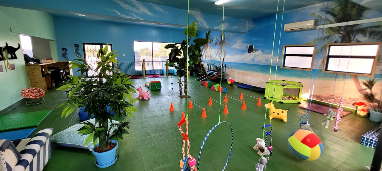 Beach-mural room with the tail-wagging adventure wall quote