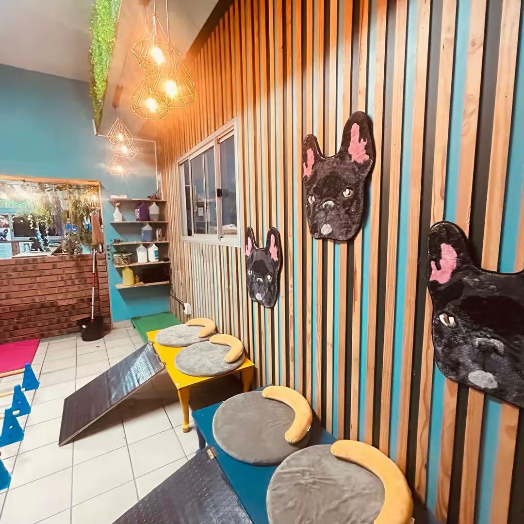 Agility ramps and platform beds in the play corridor