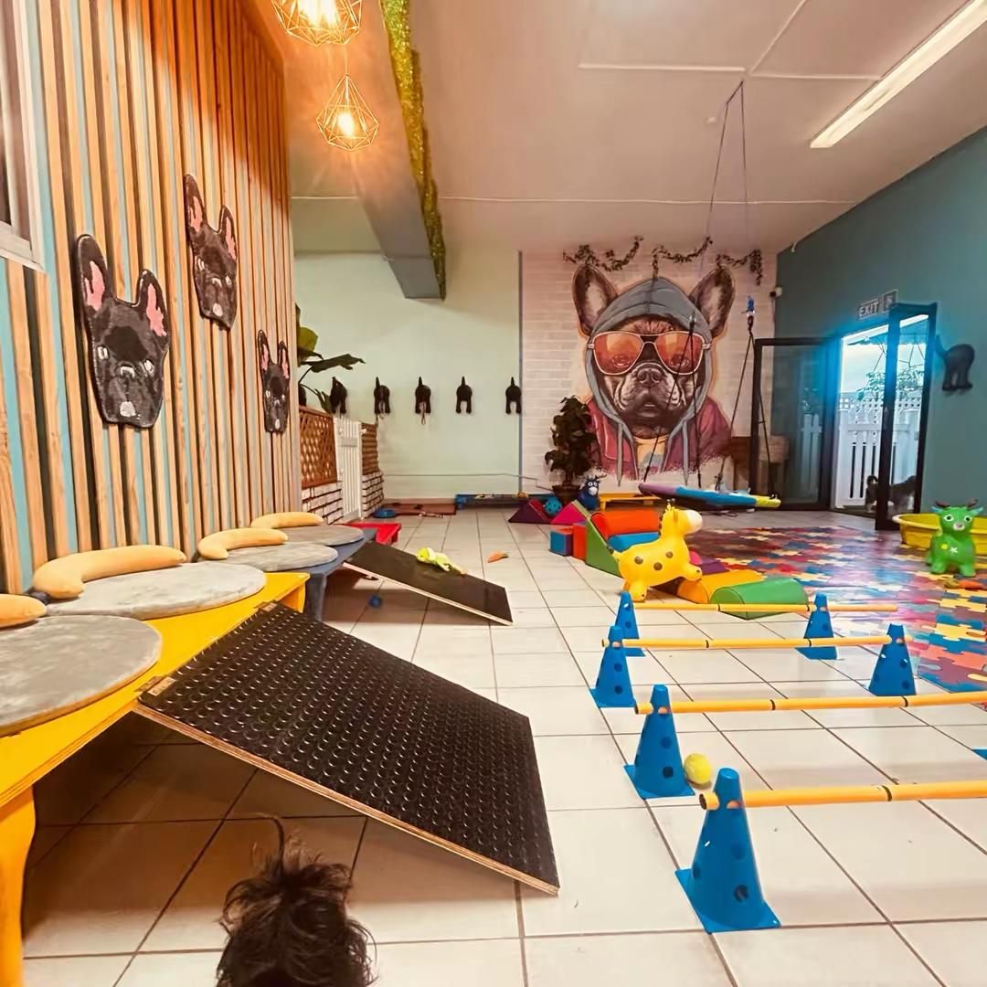 Play room with a French bulldog mural on the wall