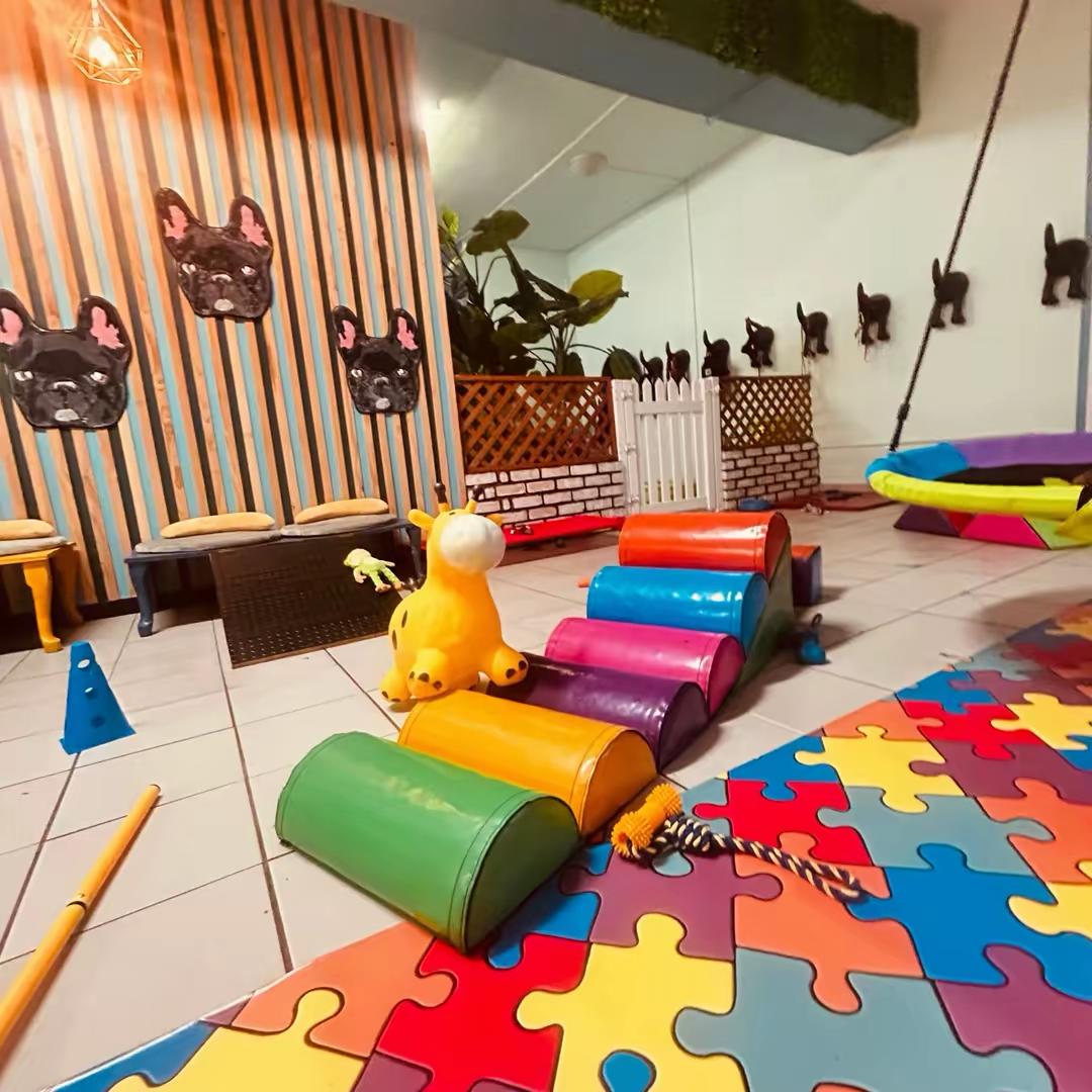 Play room with colourful tunnel obstacles