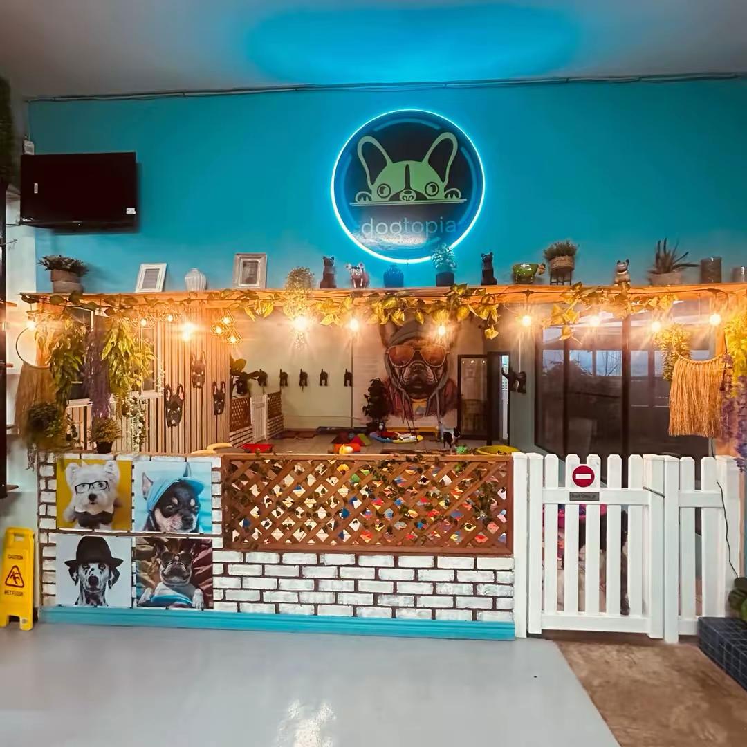 Dogtopia Ballito reception area with the glowing neon paw-print shop sign and dog portrait wall