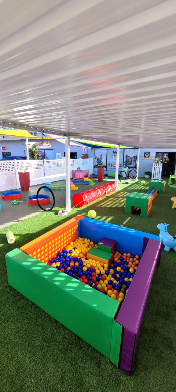 Colourful ball pit on Dogtopia's rooftop play deck