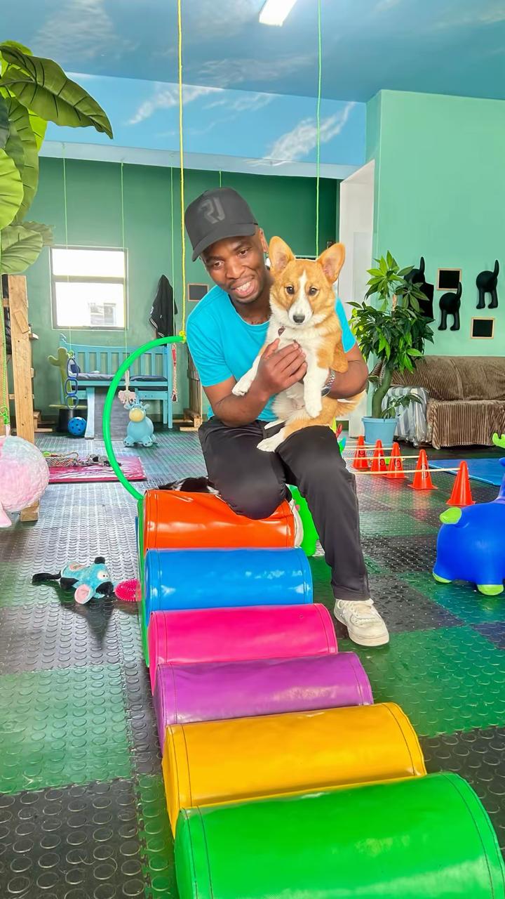 Dogtopia staff member holding a Corgi puppy